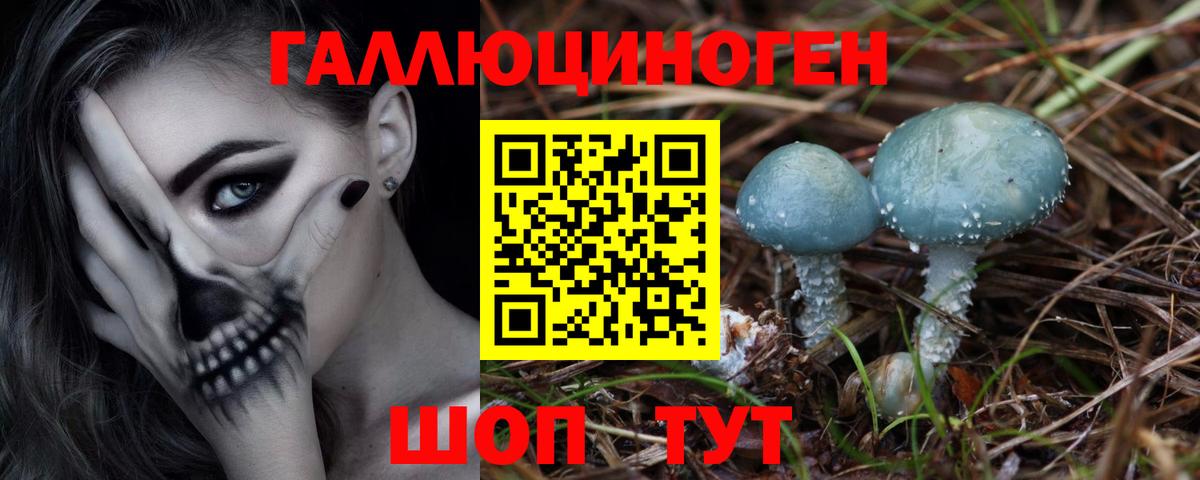Псилоцибиновые грибы GOLDEN TEACHER Балтийск