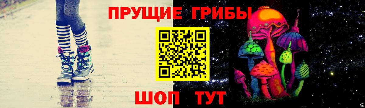 Галлюциногенные грибы GOLDEN TEACHER  Вход с VPN  Балтийск 
